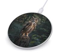 Eurasian Eagle Owl Wireless Charger Cute Wireless Charging Pad Women Men