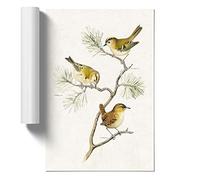 Eurasian Wren and Goldcrest Birds by Von Wright Design | Unframed Wall Art Print | Ready to Frame Poster | Modern Home Decor Picture | Artwork for Living Room or Office | A2 (42x59.4 cm)