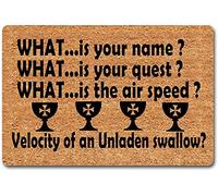 Eureya Welcome Indoor Door Mats for Front Door Monty Python and The Holy Grail Gifts Velocity of an Unladen Swallow Monogram Doormat with Anti-Slip Rubber Back Novelty Gift Mat(23.6X15.7in)