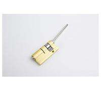 Euro Cylinder Lock,Door Barrel Lock,Traditional Nightlatch, Lock Cylinder Special Lock Core For Automatic Fingerprint Lock Cylinder With Tail Core 2keys Anti-theft Door Lock Core Door Barrel Lock (Col