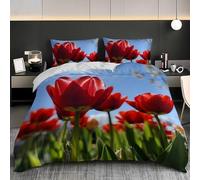 Euro Size 60x79 inch Duvet Cover Bedding 3 Pieces Painted Florals Chrysanthemum 3D Duvet Cover Microfiber Bedding Set Comfortable Soft Fluffy Breathable Easy to Care Colorful Double Quilt Cover