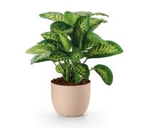 Euro3Plast Rio Greener Cachepot Cm.30 Dune