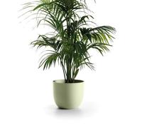 Euro3Plast Rio Greener Cachepot Cm.35 Oasi