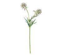EUROCINSA Ref.43300C02 2 FLOWER MAFIL, Box of 12pcs, Ivory, 56cm