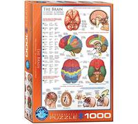 Jigsaw Puzzle - 1000 Pieces - The Brain
