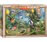 Eurographics 6000-0967 Garden Birds by Joahn Francis Puzzle, Various (US IMPORT)