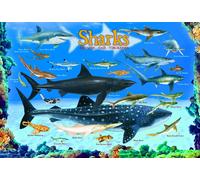 Eurographics Jigsaw Puzzle 6100-0079 - Sharks - 33 x 48 cm - US Import