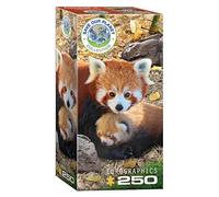 Eurographics 8251-5557 Red Panda Puzzle, Various, 33 x 48 cm