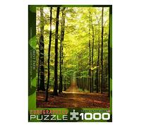 Eurographics EUROPZ-3846 Jigsaw Puzzle 1000 Pieces 19.25 in. X26.5 in. -Forest Path