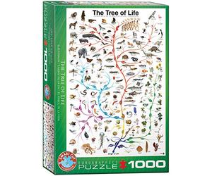 Eurographics Evolution The Tree of Life