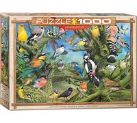 Eurographics Garden Birds by Joahn Francis 1000-Piece Puzzle
