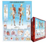 Eurographics - Jigsaw Puzzle 1000 Pieces - Human body