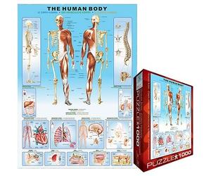Eurographics - Jigsaw Puzzle 1000 Pieces - Human body