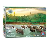 Eurographics Rainforest
