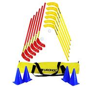 Eurohoc Junior Set Indoor Hockey Complete Set Sticks Cones Pucks & Balls rrp£99