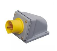 Europa IAP163F IP44 Appliance Inlet 110V 2P+E 16A 4H