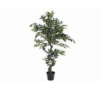 Europalms Ficus Forest Tree, 110 cm