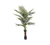 EUROPALMS Kentia palm tree, artificial plant, 240cm