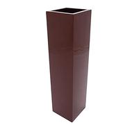 EUROPALMS Leichtsin Box-120, Shiny-Red
