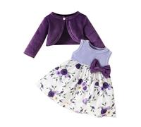 Europe and The States Baby Girls Autumn and Winter Long Sleeved Coat + Dress Set 0 3 Years Old Girl Plush Coat Vest Skirt Shirt Long (Purple, 3-6 Months)