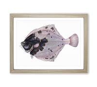 European Flouder Fish By Edward Donovan Vintage Framed Wall Art Print, Ready to Hang Picture for Living Room Bedroom Home Office Décor, Oak A4 (34 x 25 cm)