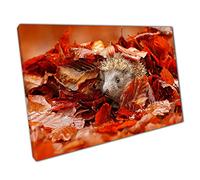European Hedgehog Hiding In Pile Of Orange Red Autumn Leaves Wildlife Wall Art Print On Canvas Picture For Home Office Decor 61x41cm (24x16In)