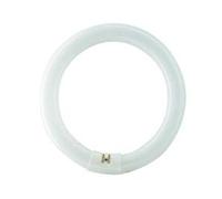 European Lamp 22w Fly Killer UV Circular Tube T9 - single*