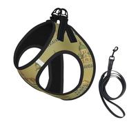 European Landmarks Illustrate Print Small Dog Harness And Leash Set, Adjustable Soft Vest With 360° Reflective Straps For Cats Puppy