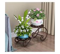 European Multi-Tiered Wrought Iron Flower Stand - Creative Indoor Balcony Plant Display Shelf, 2-Tier Bonsai Rack for Home Decoration, Stylish Planter Holder