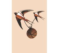 European or African Swallow?: Determining the Flight of European and African Swallows and Choosing Wild Birds: An Illustrated Guide as pictured.