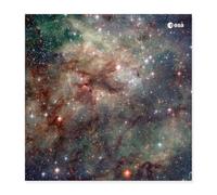 European Space Agency Hubble Tarantula Nebula Poster 16" x 16" (40x40 cm)