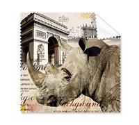 European Style Arc de Triomphe Rhinoceros Building French Paris Illustration Pattern Glasses Cloth Cleaning Cloth Phone Screen Cleaner 5pcs
