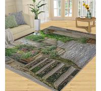 European Village Street Rugs for Bedroom, Quaint Alleys Home Decor Rug, Rural Aesthetics Rugs for Living Room, Washable Area Rug for Boys Girls Room, Non Slip & Low Pile Carpet - 80x150 cm