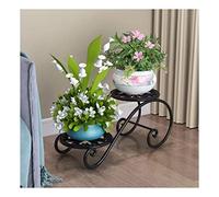 European Wrought Iron Flower Stand - 2-Tier Indoor Bonsai Shelf, Multi-Layer Plant Holder, Creative Home Decor Display for Balconies and Flower Pots