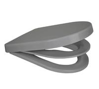 Euroshowers D Shape Multi Soft Close 2 in 1 Family Toilet Seat (Grey)