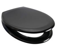 Euroshowers Rainbow Soft Close Toilet Seat (Black)