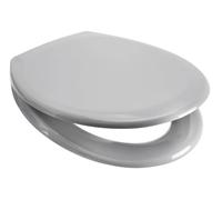Euroshowers Rainbow Soft Close Toilet Seat (Light Grey)