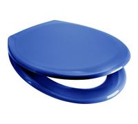 Euroshowers Top Fix Blue Oval Soft Close Quick Release Toilet Seat 375X445mm