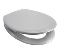 Euroshowers Rainbow Soft Close Toilet Seat (Light Grey)