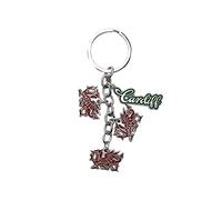 Eurostick Wales Welsh Cardiff Multi Keyring Keychain Cymru Llanfair Bagcharm (Welsh Multi Dragon Keyring)