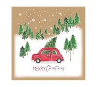 Eurowrap Assorted Christmas Cards Xmas Driving Home, 2 Designs Merry Christmas and Seasons Greetings - Eco Pack of 12