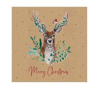 Eurowrap Assorted Christmas Cards Xmas Stag, 2 Designs Merry Christmas and Seasons Greetings - Eco Pack of 12