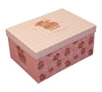 Eurowrap Baby Boy Girl Flat Pack Gift Box with Lid Perfect for Baby Shower, Keepsake, New Born Present Pink Baby Girl