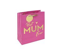 Eurowrap Best Mum Ever Medium Gift Bag - Pink Design with Foil Message, Ribbon Handle & Striped Interior - Perfect for Perfumes & Gifts on Mother's Day, Birthdays and Celebrations