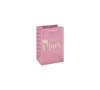 Eurowrap Best Mum Ever Small Gift Bag Pink with Ribbon Handles, Matching Gift Tag, Stylish Mum Present Bag for Mother’s Day and Birthday Gifts, Premium 210gsm Paper