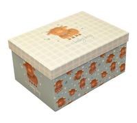 Eurowrap Blue Baby Boy Girl Flat Pack Gift Box with Lid Perfect for Baby Shower, Keepsake, New Born Present