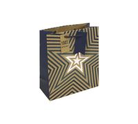 Eurowrap Brown Kraft Blue Stars Medium Gift Bag - Recyclable Paper Bag with Rope Handle - Eco-Friendly Gift Wrap for Father’s Day or Birthday