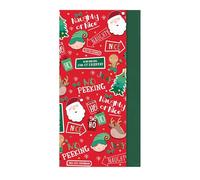 Eurowrap Christmas No Peeking 8 Sheets Decorative Tissue Paper for Gift Wrapping Present Crafts Wrapping Paper 50cm x 70cm - Festive Tissue Paper - Christmas Tissue Paper