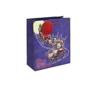 Eurowrap Christmas Traditional Flying Santa Gift Bag with Red Circle Gift Tag Xmas Gift Wrap Medium