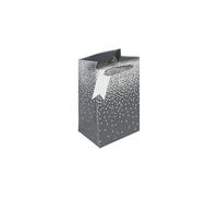 Eurowrap Grey Stars Ombre Gift Bag With Gift Tag - Gift Bag for Him, Her, Christmas, Weddings, Birthdays, Father's Day - Birthday Gift Wrap Occasion Present - Small Size